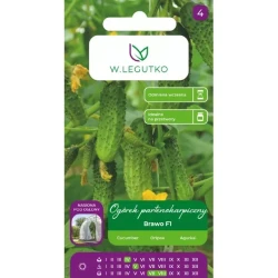 Legutko Ogórek Brawo F1  2g  st.