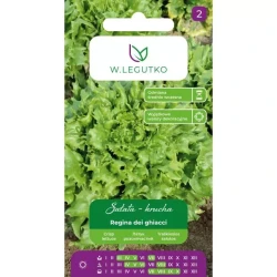 Legutko Sałata krucha Regina dei ghiacci 1g st