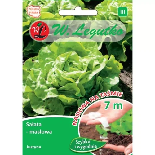 Legutko Sałata głowiasta masłowa Justyna taśma 7m st