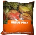 Nasiona Burak pastewny URSUS POLY 0,5kg żółty C1