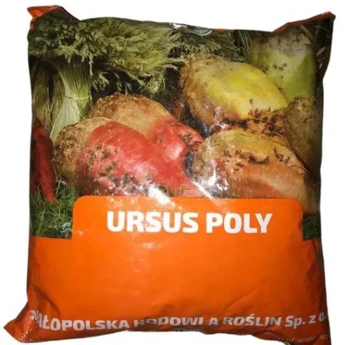 Nasiona Burak pastewny URSUS POLY 0,5kg żółty C1
