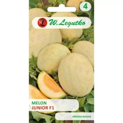 Legutko Melon Junior F1 miąższ pomarańczowy 1g st