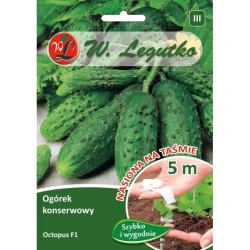 Legutko Ogórek gruntowy Octopus F1 taśma 5m st