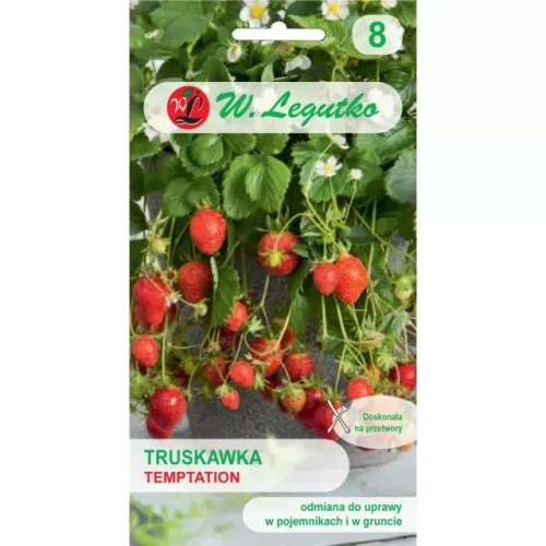 Legutko Truskawka Temptation do uprawy w pojemnikach st 0,03g st
