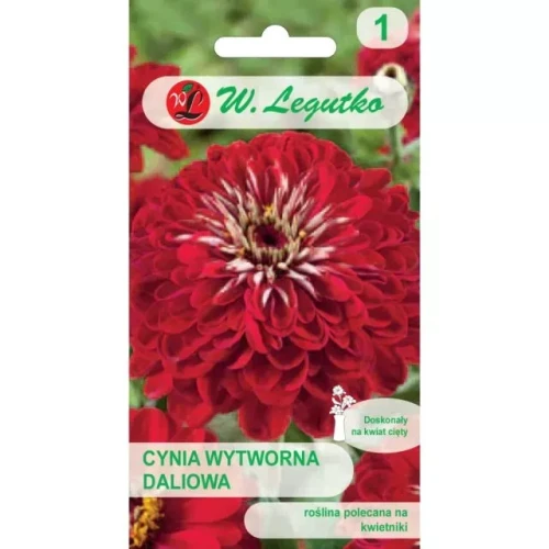 Legutko Cynia wytworna daliowa Scarlet Flame 1g st