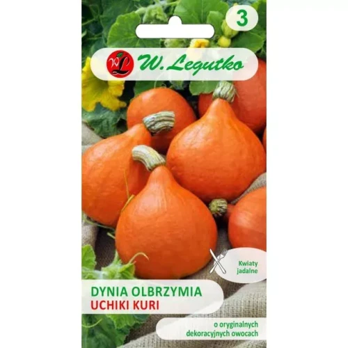 Legutko Dynia Olbrzymia Uchiki Kuri Hokkaido 3g st