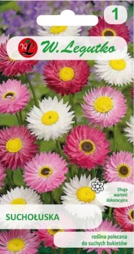 Legutko Suchołuska mix