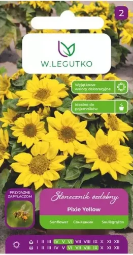 Legutko Słonecznik ozdobny Pixie Yellow 2g st