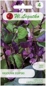 Legutko Fasolnik egipski różowo-fioletowy 3g st