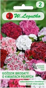 Legutko Goździk brodaty wysoki pełny mix 0,5g st