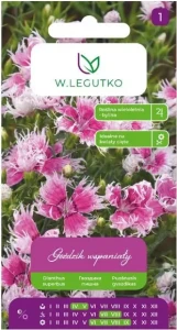 Legutko Goździk wspaniały mix 0.2g st