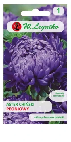 Legutko Aster ch.peoniowy fioletowy