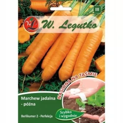 Legutko Marchew Berlikumer 2 późna taśma