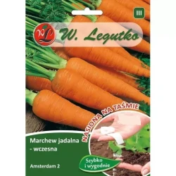 Legutko Marchew Amsterdam 2 wczesna 