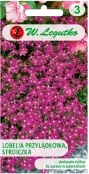 Legutko Lobelia przylądkowa karminowo-czerwona 0,1g st