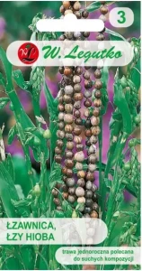 Legutko Łzawica, Łzy Hioba 3g st
