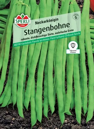 SPERLI- Fasola tyczna Stangenbohne Neckarkönigin