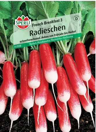 SPERLI- Rzodkiewka Radieschen French Breakfast 3