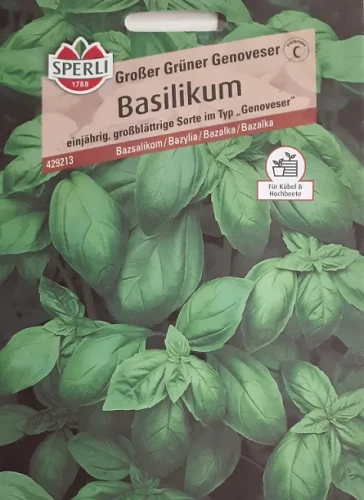 SPERLI- Bazylia Basilikum Grosses Grünes