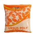 Nasiona Burak pastewny URSUS POLY 0,5kg żółty C1