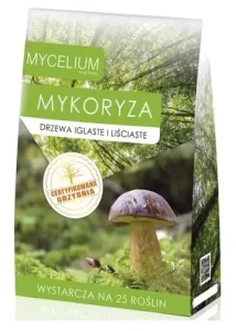 Grzybnia - Mykoryza Drzewa Iglaste i Liściaste 125ml