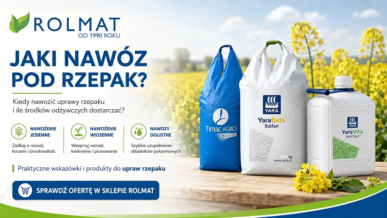 Jaki nawóz pod rzepak? Kiedy nawozić i ile środków odżywczych stosować?