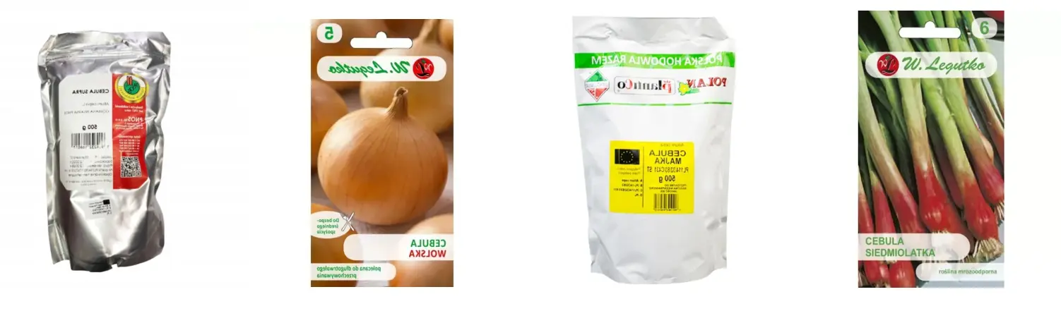 Nasiona cebuli - wysiew gwarantujący udane plony