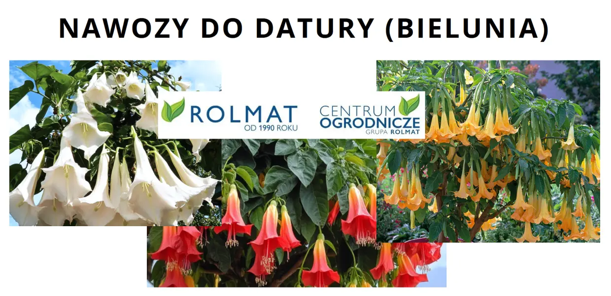 Nawozy do Datury (Bielunia) - sklep ogrodniczy Rolmat