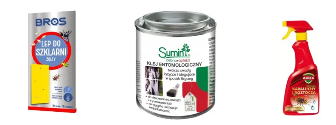 Preparaty na owady biegające - skuteczne środki na karaczany, pchły i pluskwy