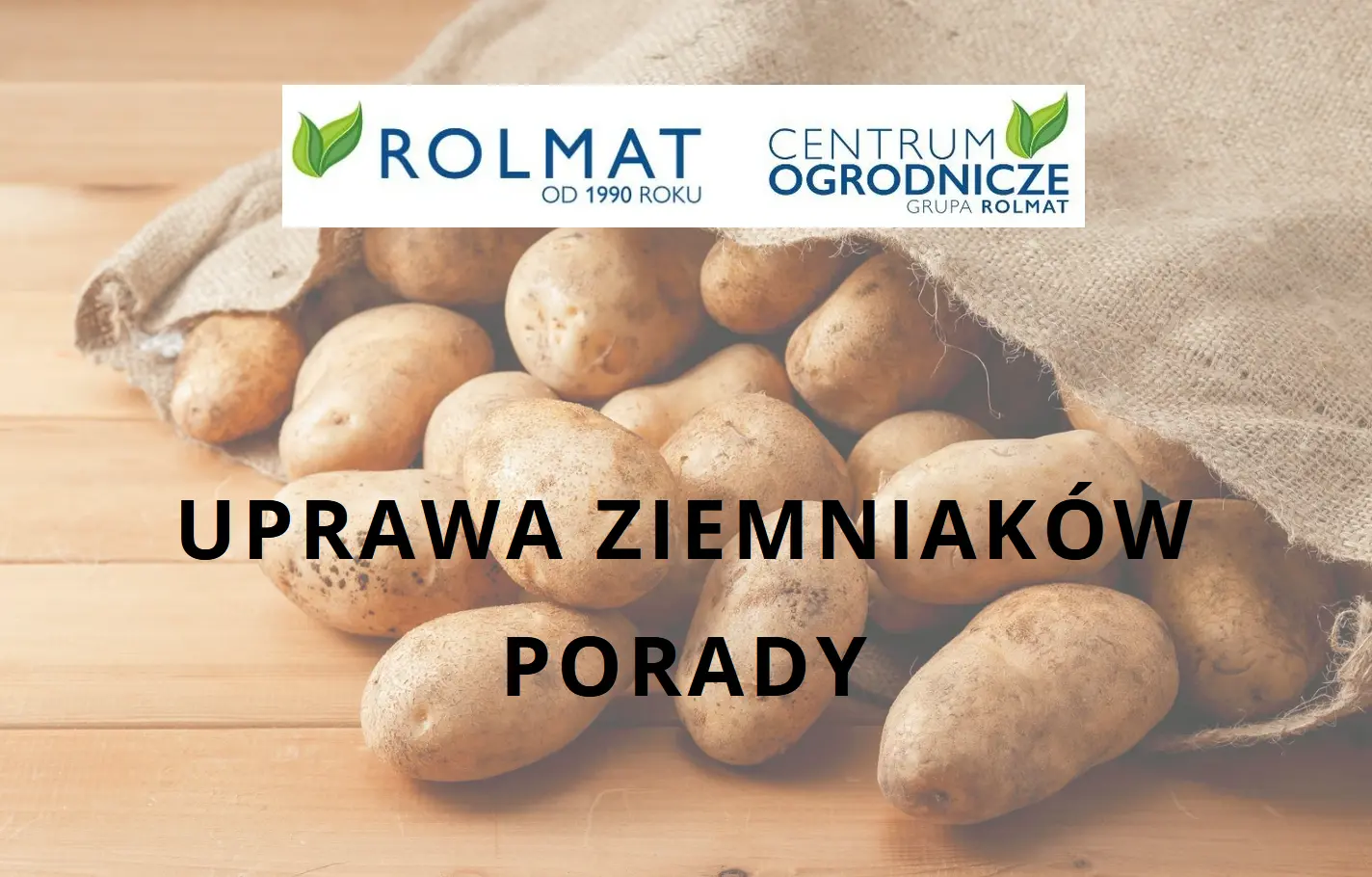 Na jakich glebach najlepiej rośnie ziemniak?