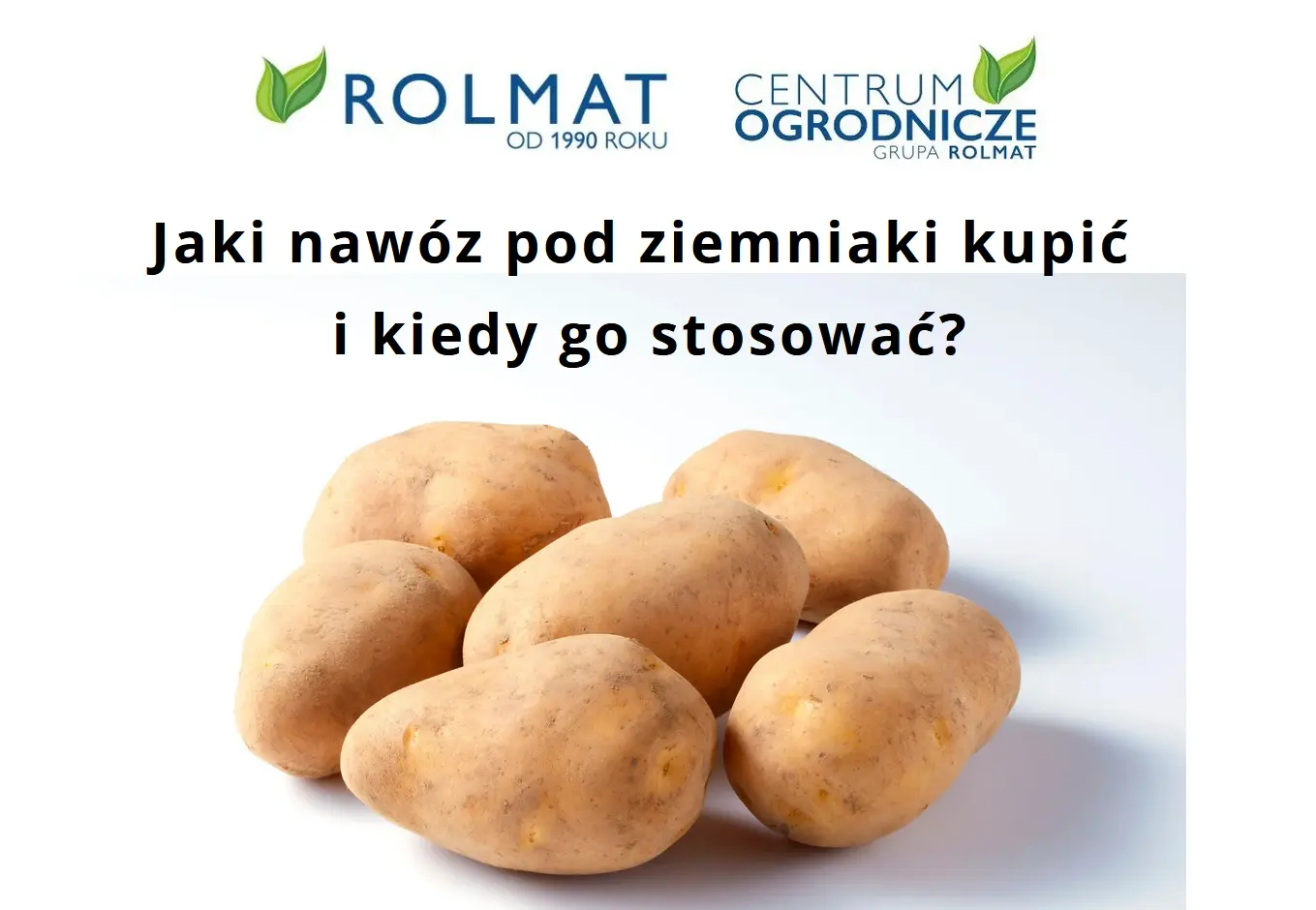 Jaki nawóz pod ziemniaki kupić i kiedy go stosować?
