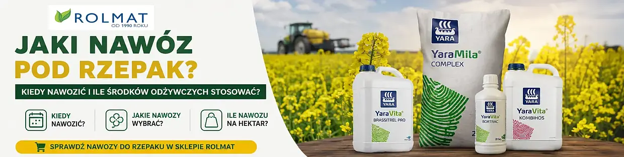 Jaki nawóz pod rzepak?