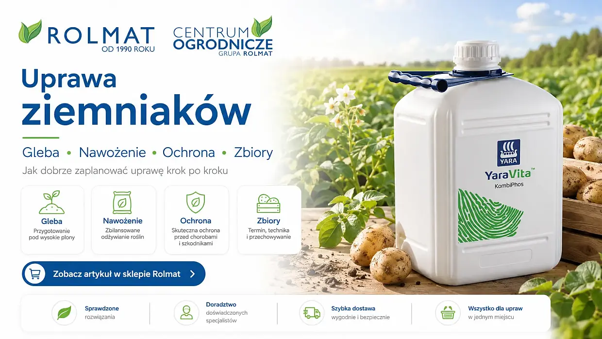 Uprawa ziemniaków - gleba, nawożenie, ochrona, zbiory